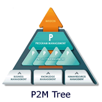 P2M Tree