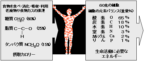 ێ悵J[ƏGlM[̓KoXN̊{