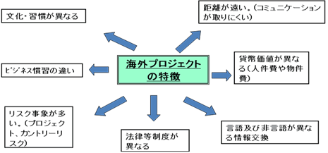 図1.1「海外プロジェクトの特徴」