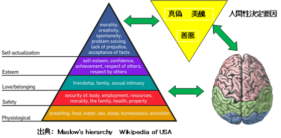 出典： Maslow's hierarchy  Wikipedia of USA