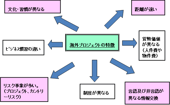 図26-1　海外プロジェクトの特徴