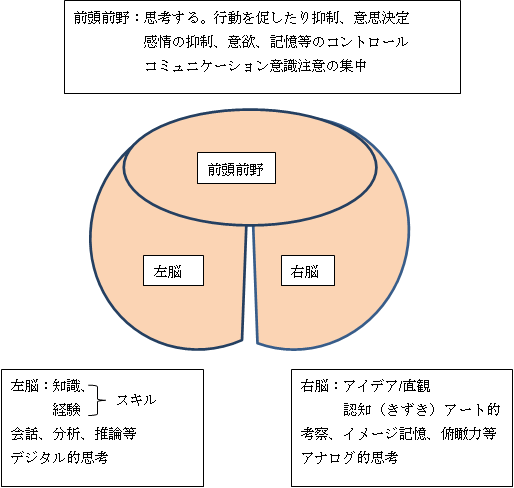 図－1　脳の構造と働き