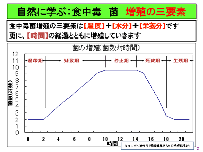 図1　細菌の増殖曲線