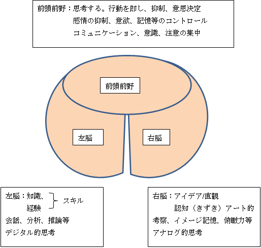 図34－1　脳の構造と働き