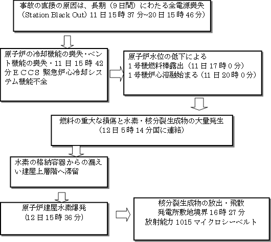 図表21　事故の直接原因のフロー　(日時は1号機の例を示す)