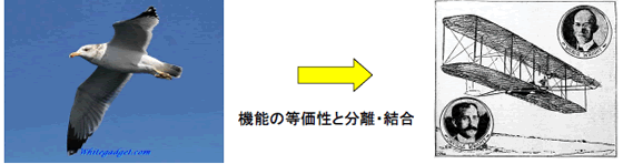 鳥と飛行機の等価性