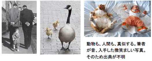 動物も、人間も、真似する。筆者が昔、入手した微笑ましい写真。そのため出典が不明
