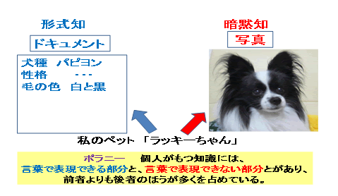 「言葉で表現できる部分」と「言葉で表現できない部分」