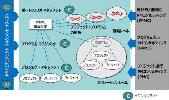 図 1 PMコンサルタントの職務領域