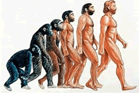 人類の歴史は創造の歴史