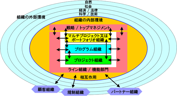 図表 1 PMにおける組織的観点