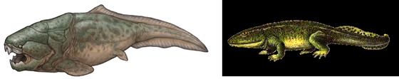 出典：未来の魚　(株)セガ・エンタープライズ提供