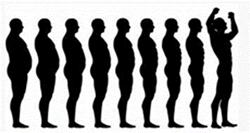 出典：自己変身による自己改革
Self-Transformation+clipart_news_vert_Fwp-loss.jpg&action