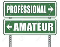 出典：プロとアマ　
professional-amateur-craftsman-expert-ro.html