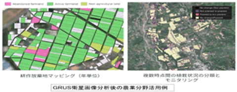 GRUS衛星画像分析後の農業分野活用例