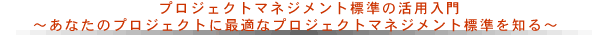 プロジェクトマネジメント標準の活用入門～あなたのプロジェクトに最適なプロジェクトマネジメント標準を知る～