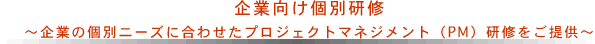 企業向け個別研修
～企業の個別ニーズに合わせたプロジェクトマネジメント（PM）研修をご提供～